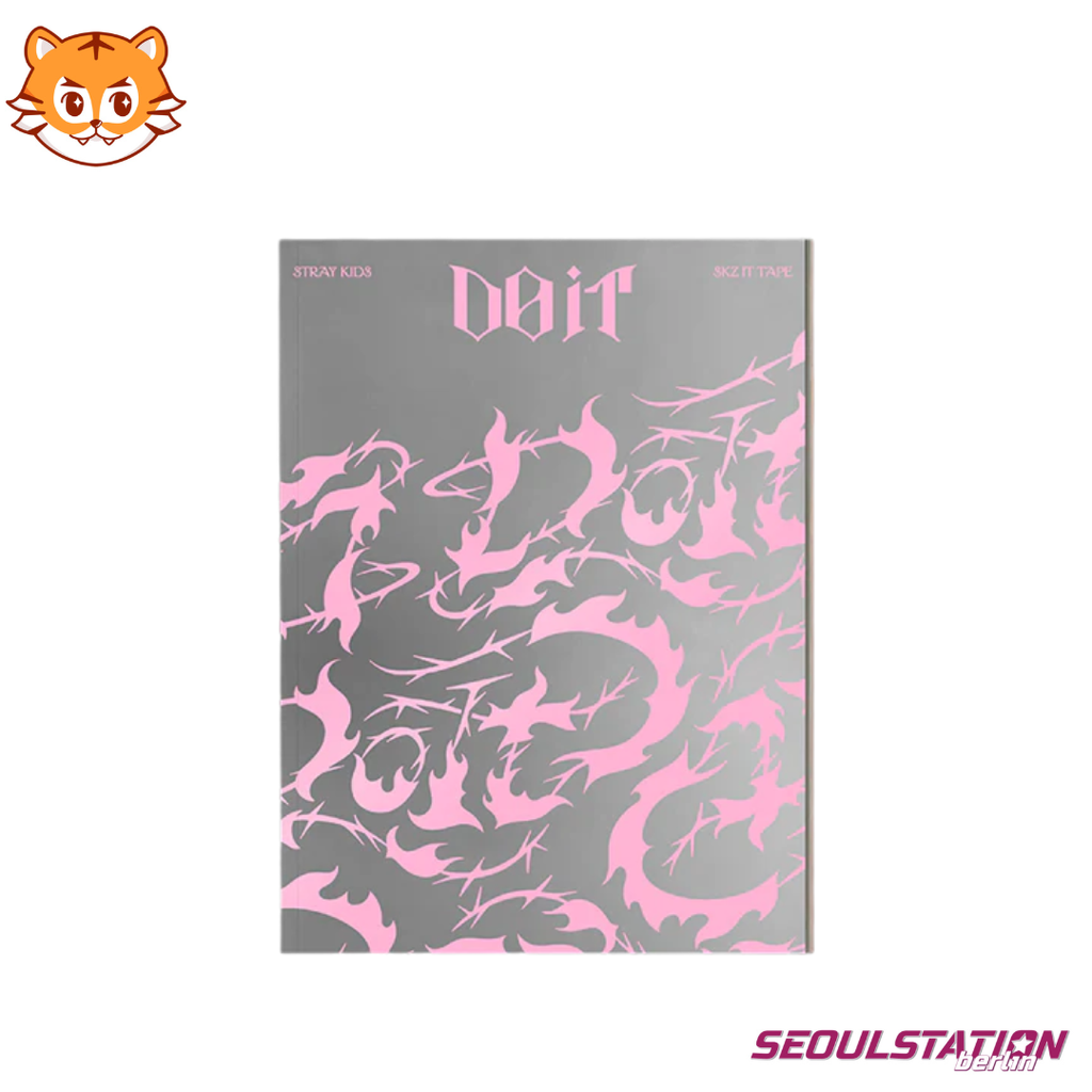 Stray Kids Do It Album SEOULSTATION berlin